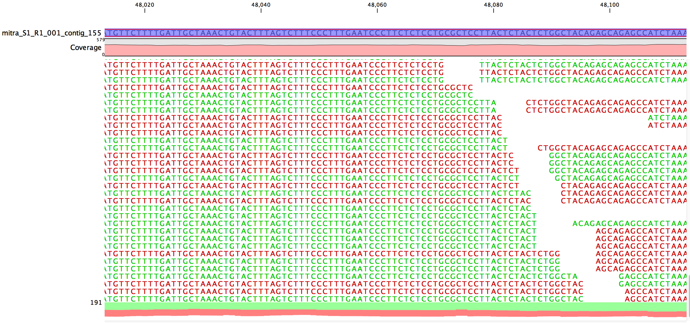 Screen Shot 2017-11-23 at 4.54.33 AM.png