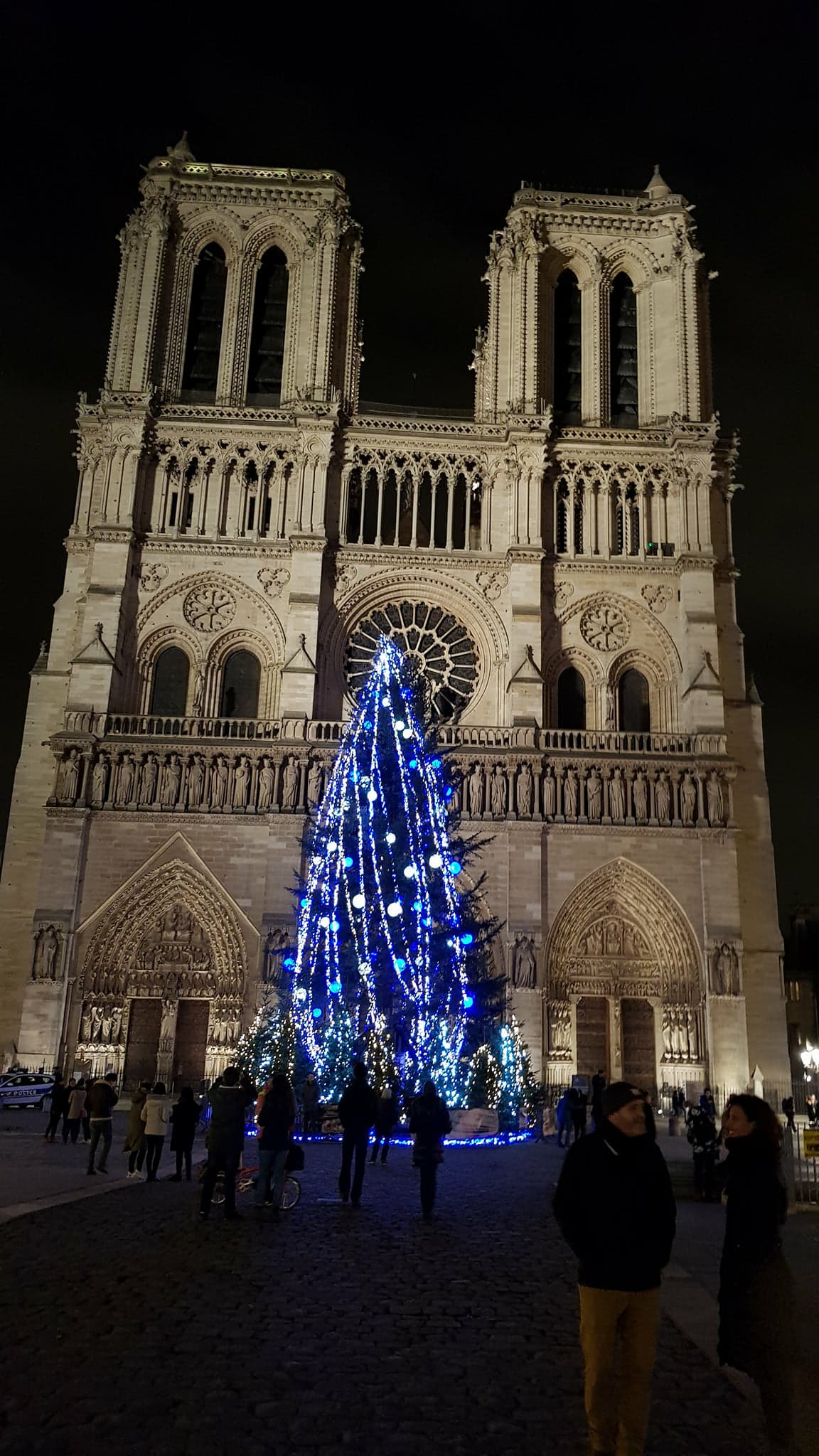 Notre Dame Christmas Night Fredrikaa Steemit.jpg