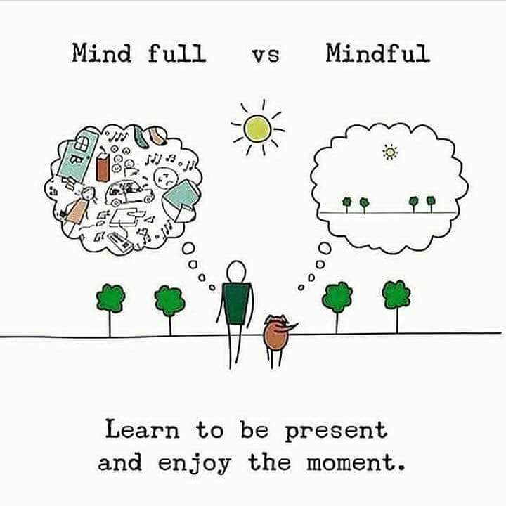 Learn To Be Present And Enjoy The Moment Steemit
