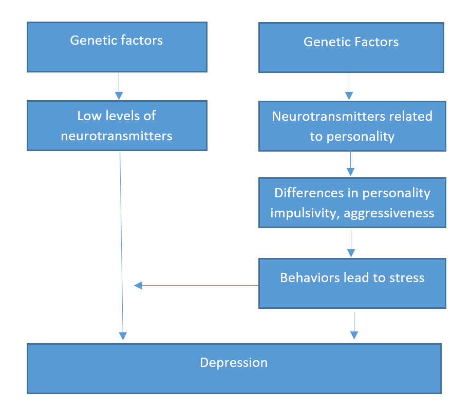 Psychology Column Psychopathology Chapter 5 Mood Disorders I