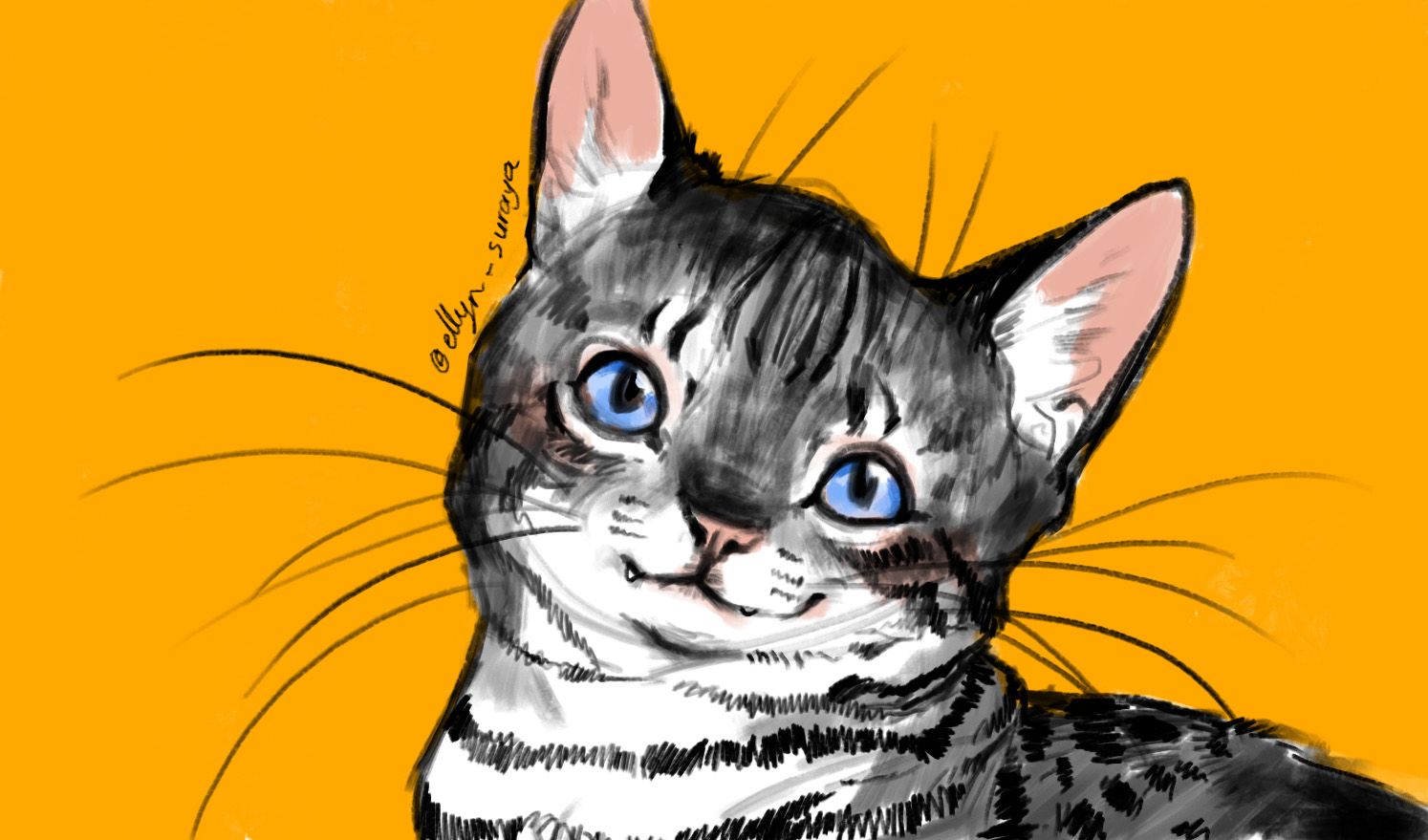 Daily Cat Drawings_2.jpg