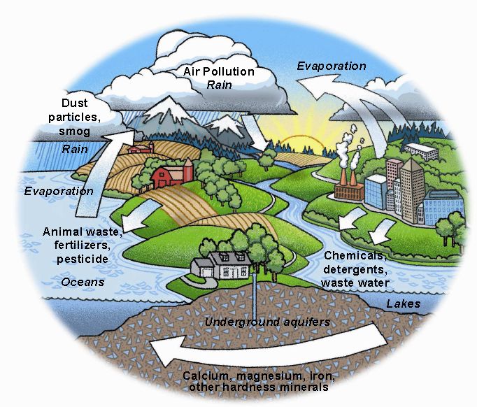 hydrological_cycle_ehn1.jpg