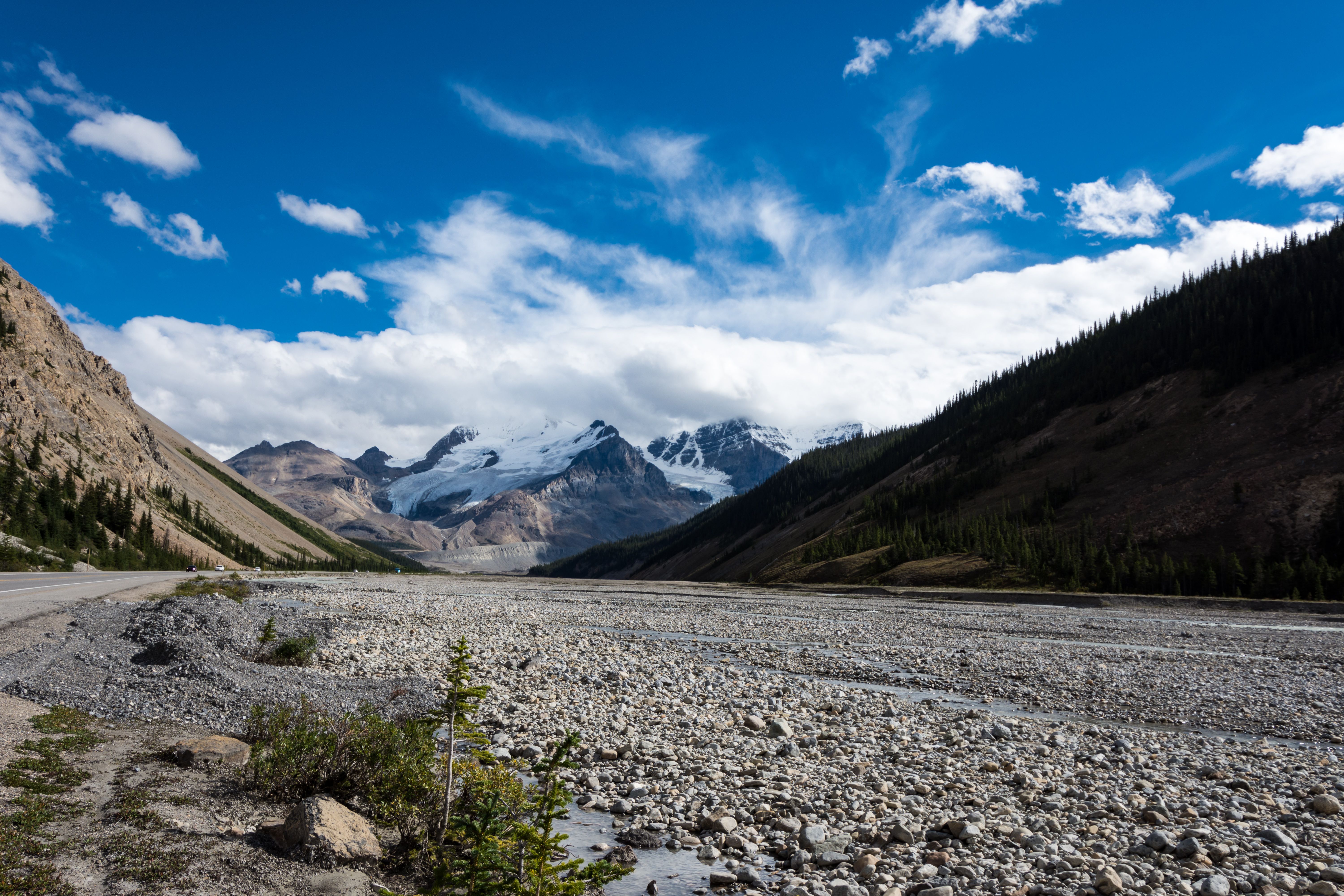 Glaciers_in_the_distance_-_Icefields_Parkway_-_ALberta_Canada_(29592110625).jpg