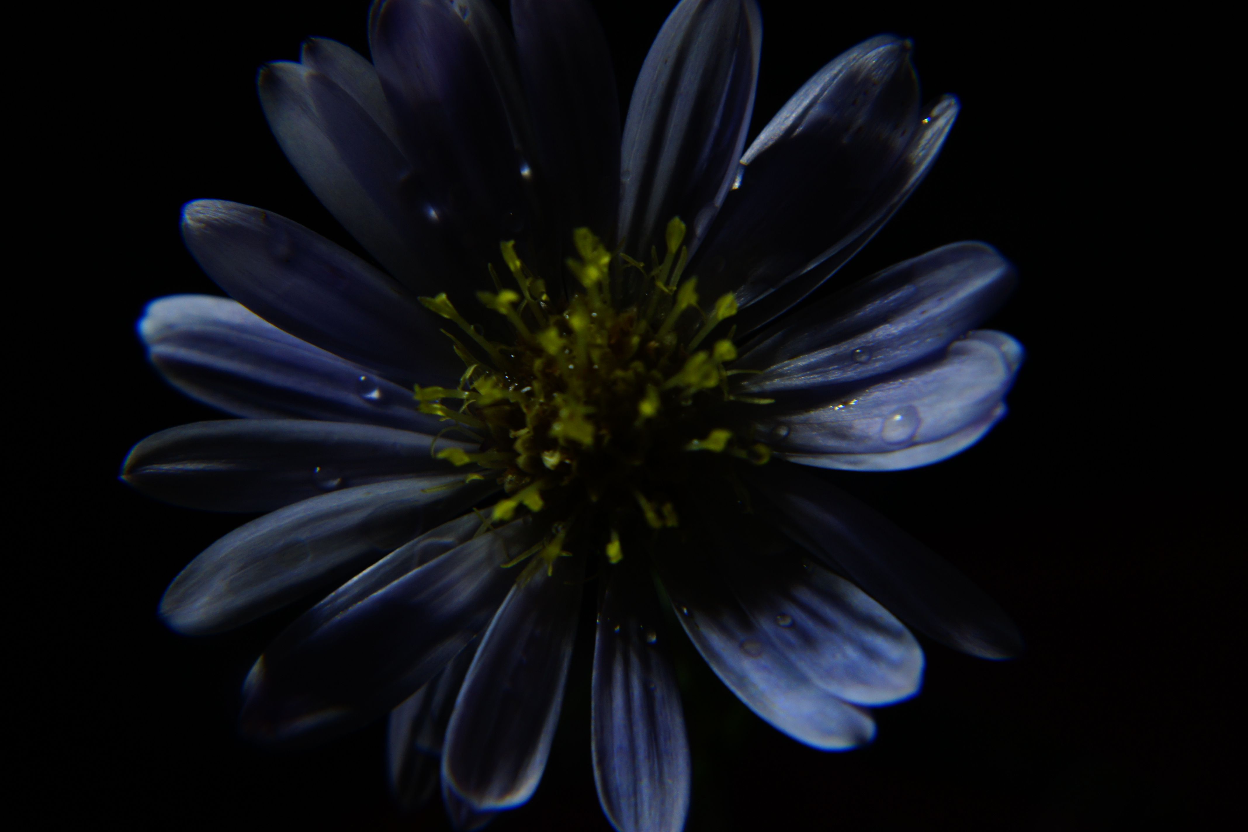 school photo full res (6).JPG