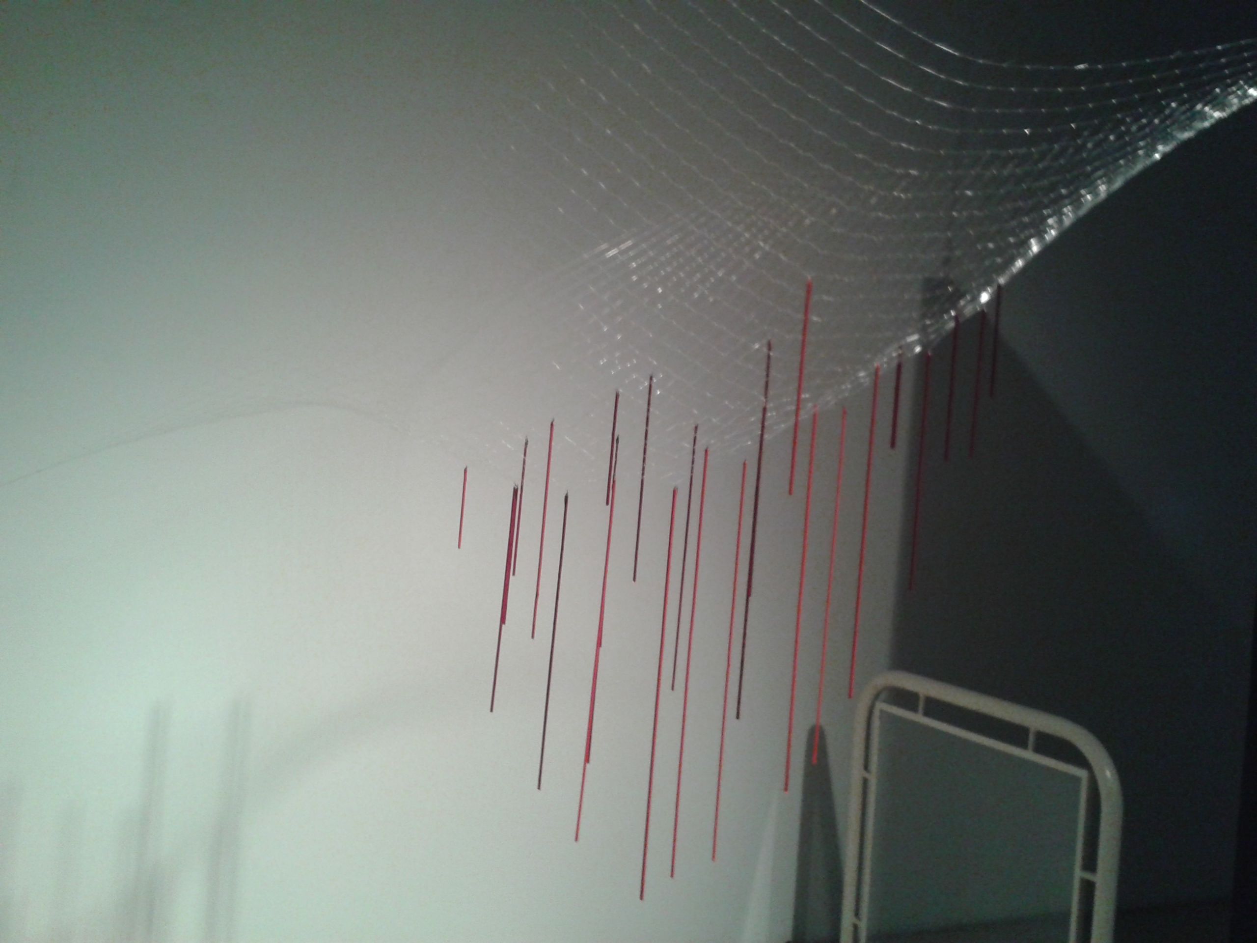 20170921_144143.jpg