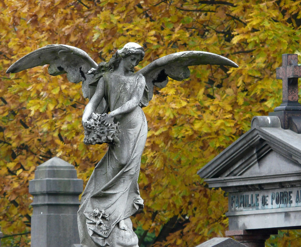 Mourning-angel-and-golden-leafs-of-fall-cemetery-of-Laeken-Brussels.jpg