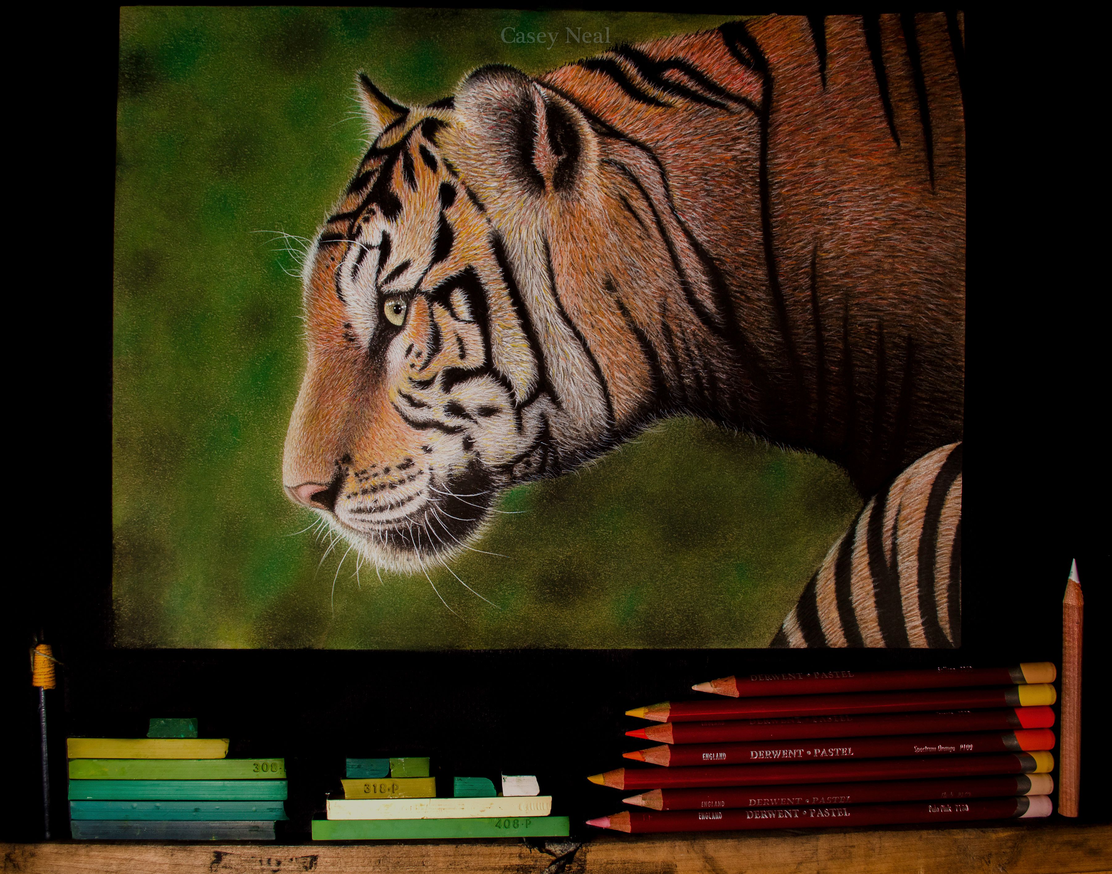 Bengal Tiger Materials - Casey Neal Artwork.jpg