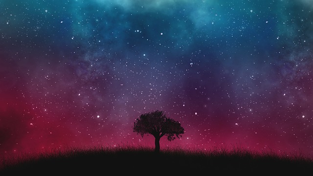 www.maxpixel.net-Cosmos-Universe-Galaxy-Space-Tree-Background-1721695.jpg