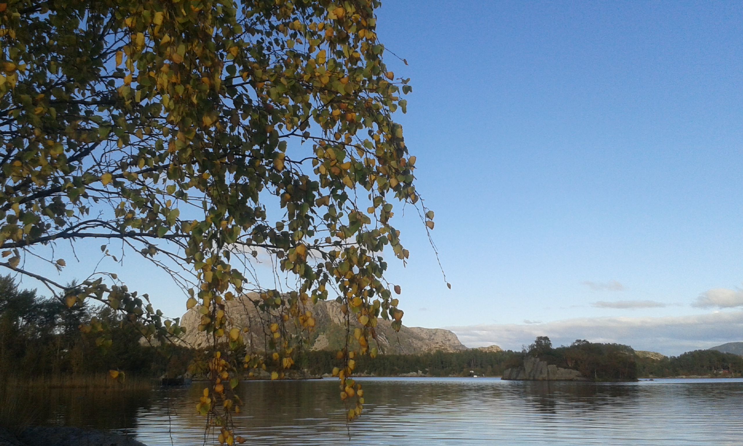 20141005_165831.jpg