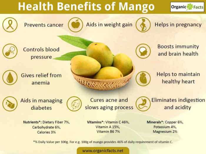 Mango and Its Relevance — Steemit