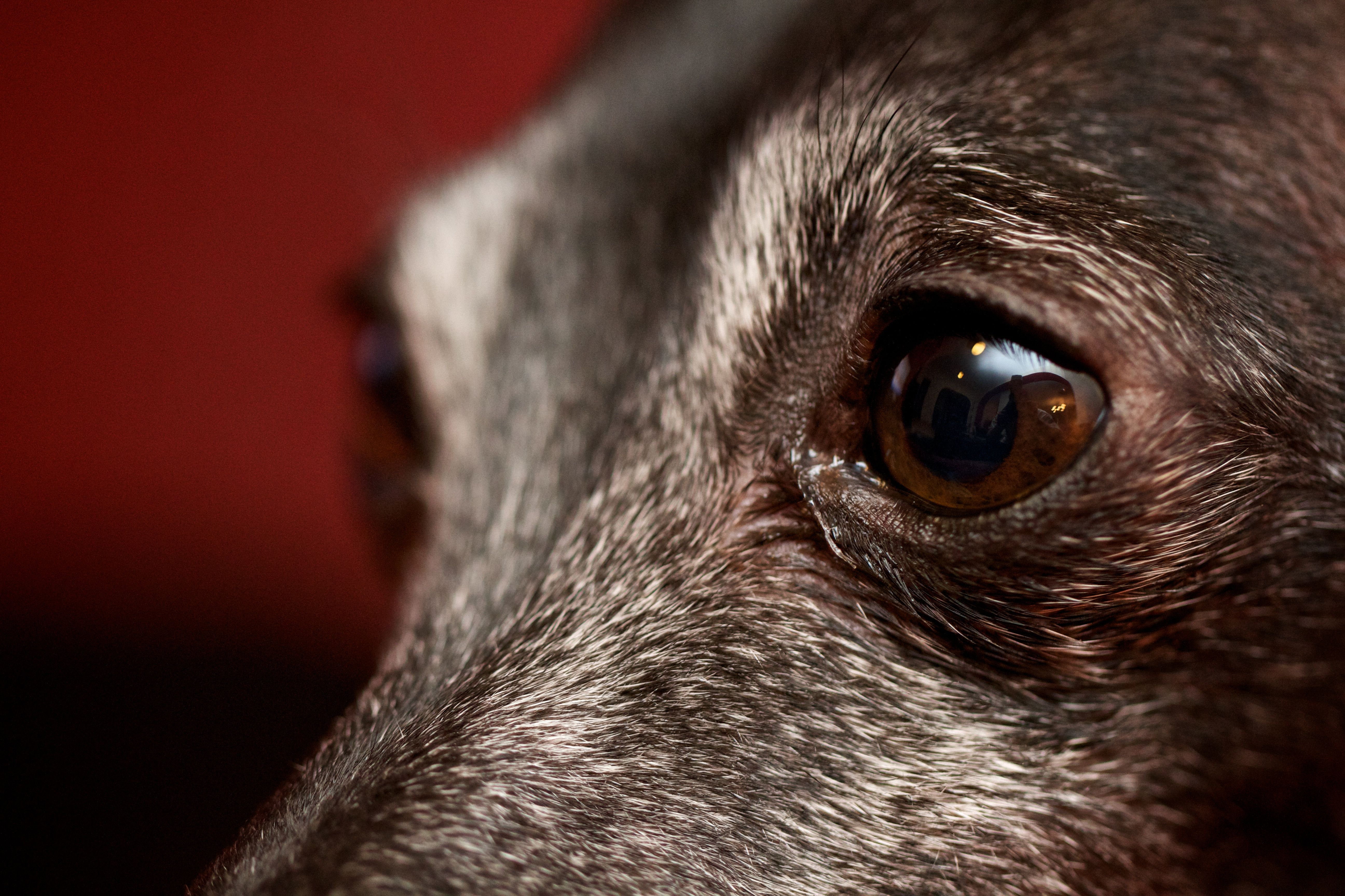 Beautiful eye (1).jpg