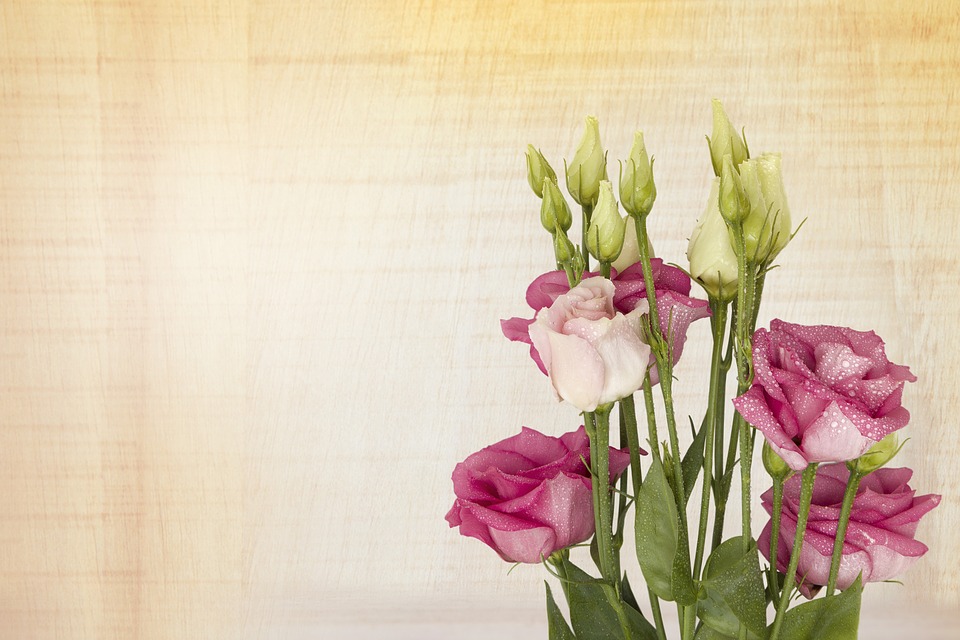 pink-lisianthus-3182999_960_720.jpg