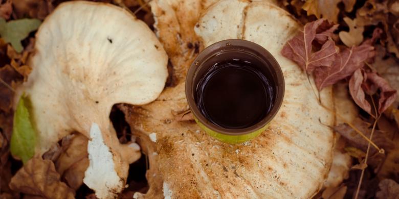 0119415ThinkstockPhotos-495479226-mushroom-coffee780x390.jpg