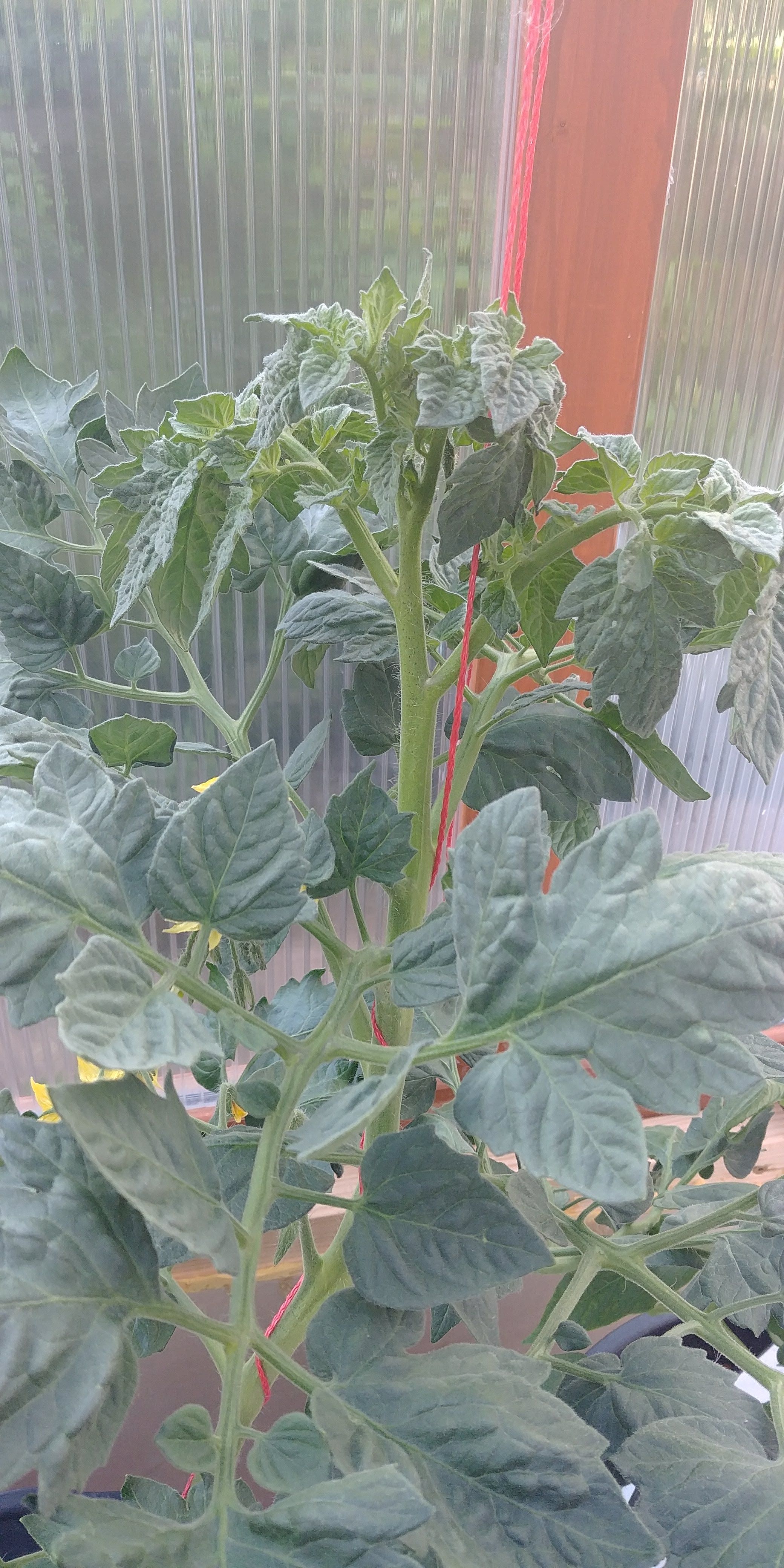 20180522_081057.jpg