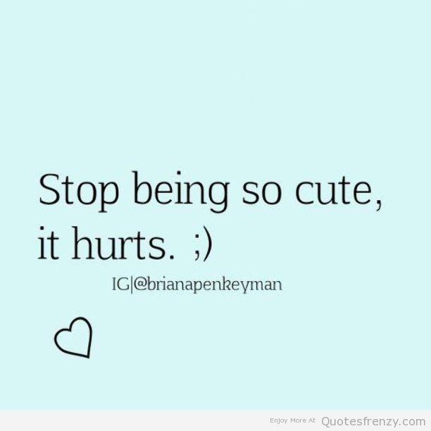 Stop being so cute, it hurts — Steemit