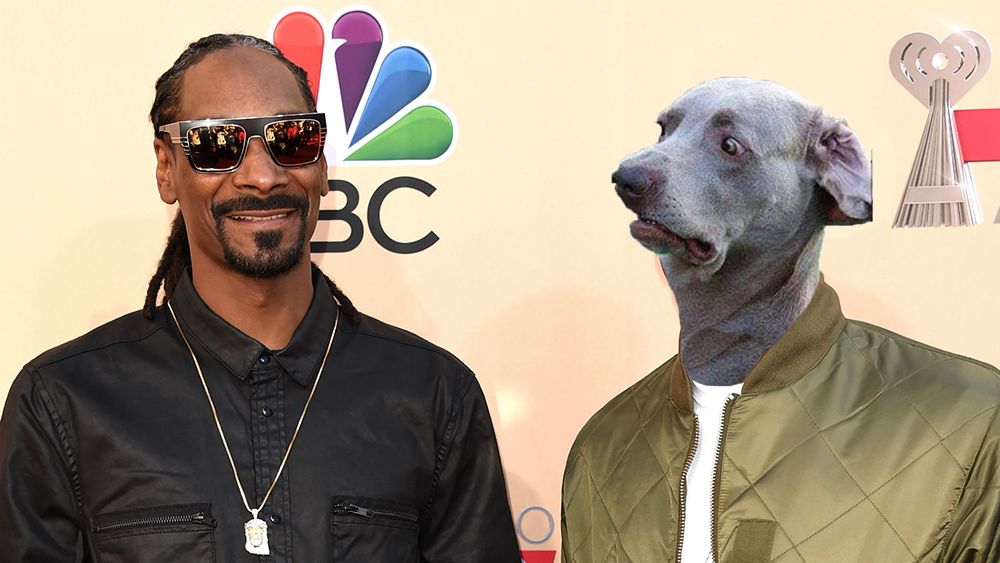 snoop copy.jpg