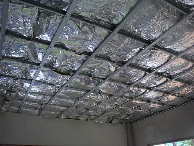 R10677993-2.jpg