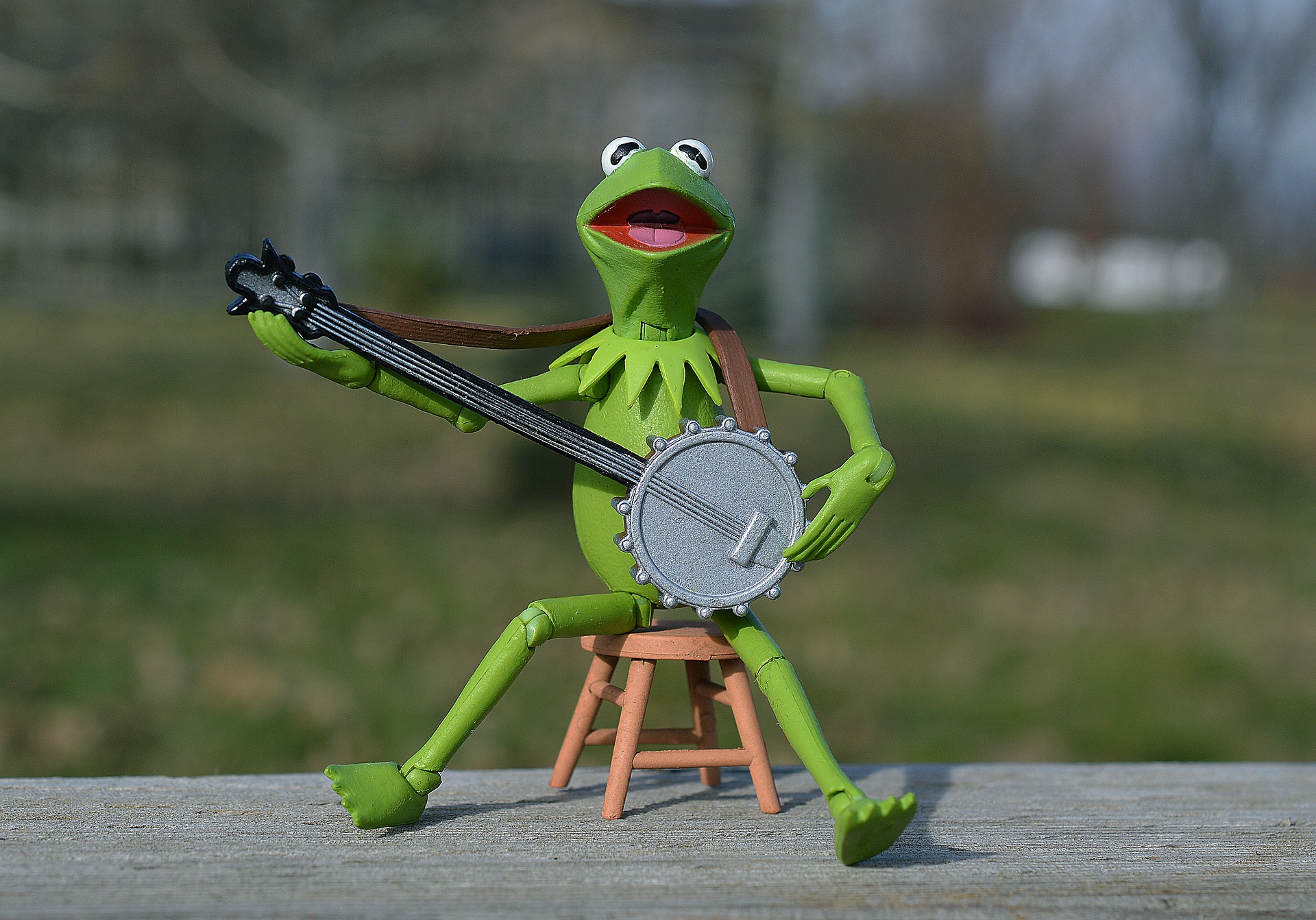 kermit-1784902_1920.jpg