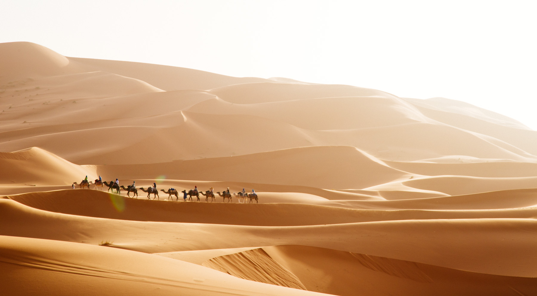 morocco-sahara-desert-camel-travel-photography-workshop-hillary-fox.jpg