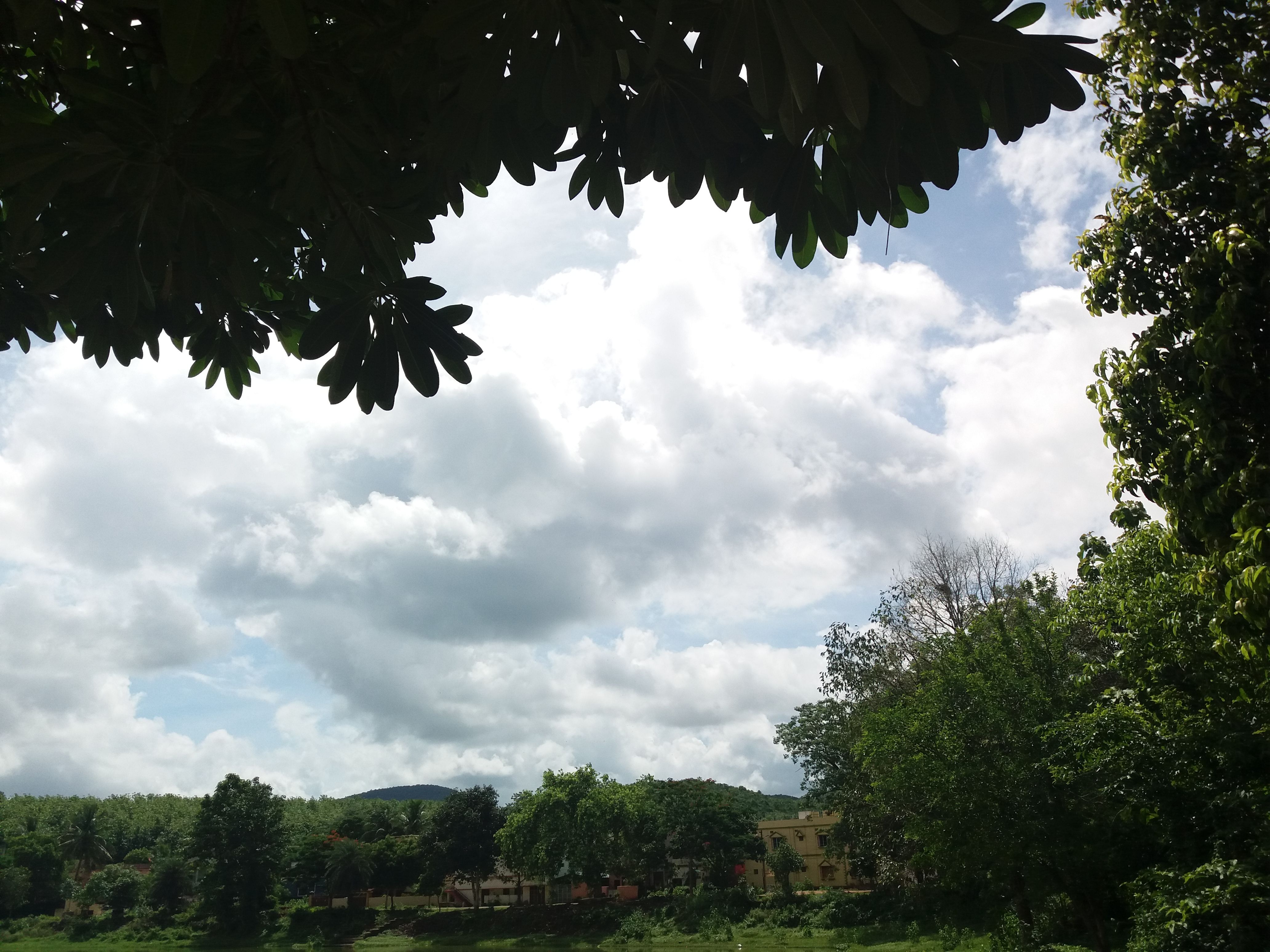 20160630_094944.jpg