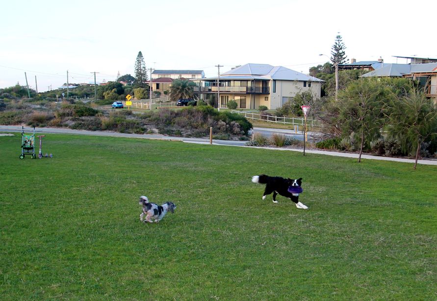 2013 04 30 팰콘 (24).jpg