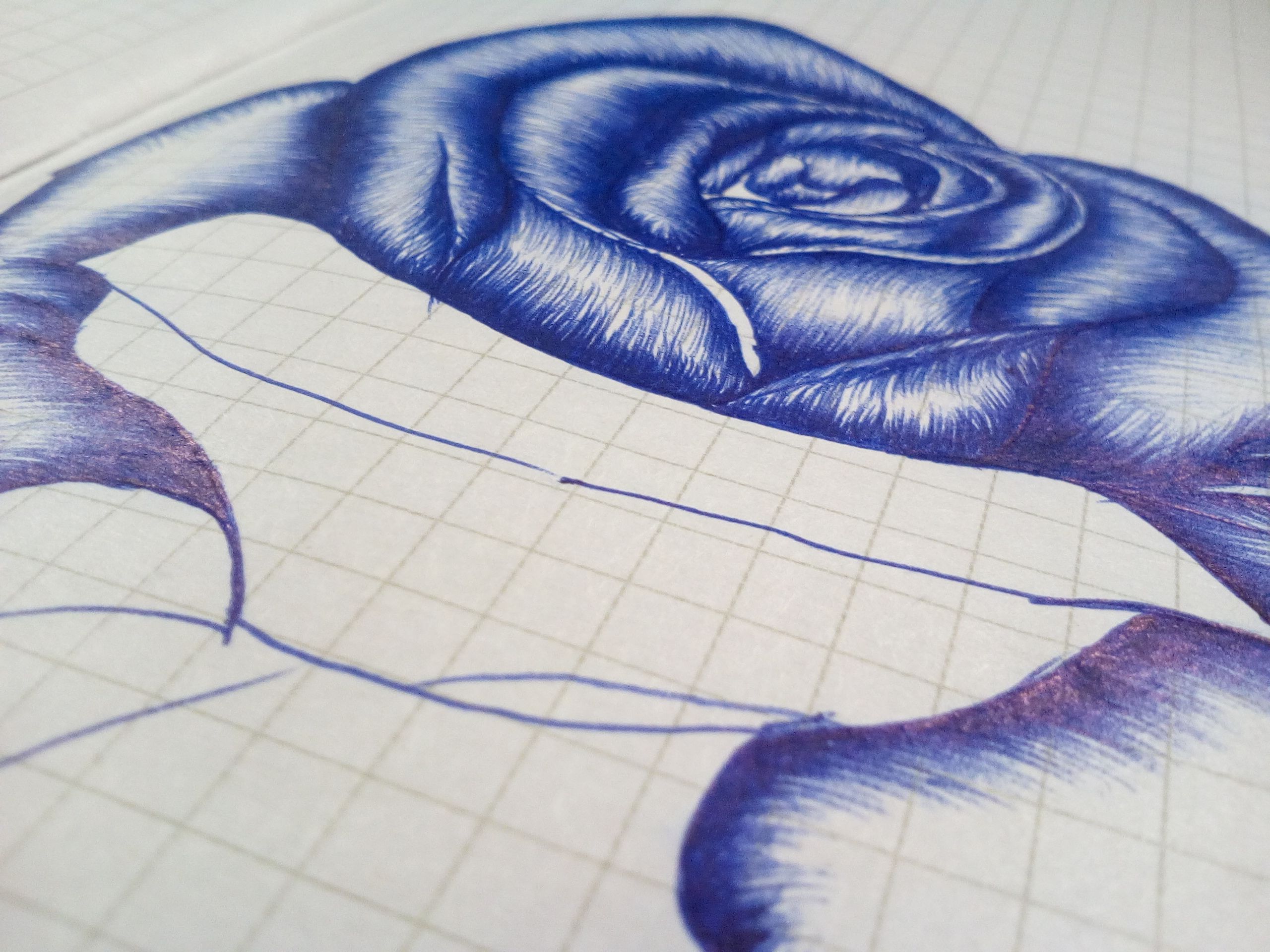Realistic Blue Ballpoint Pen Drawings  Ink pen art, Roses drawing, Ink pen  drawings