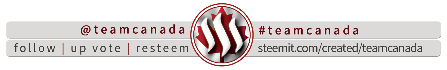 team canada banner.png