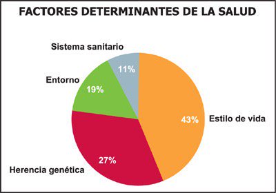 estadistica.jpg