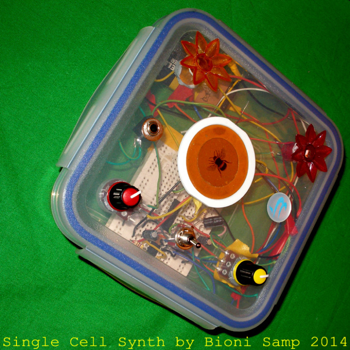 single-cell-synth.jpg
