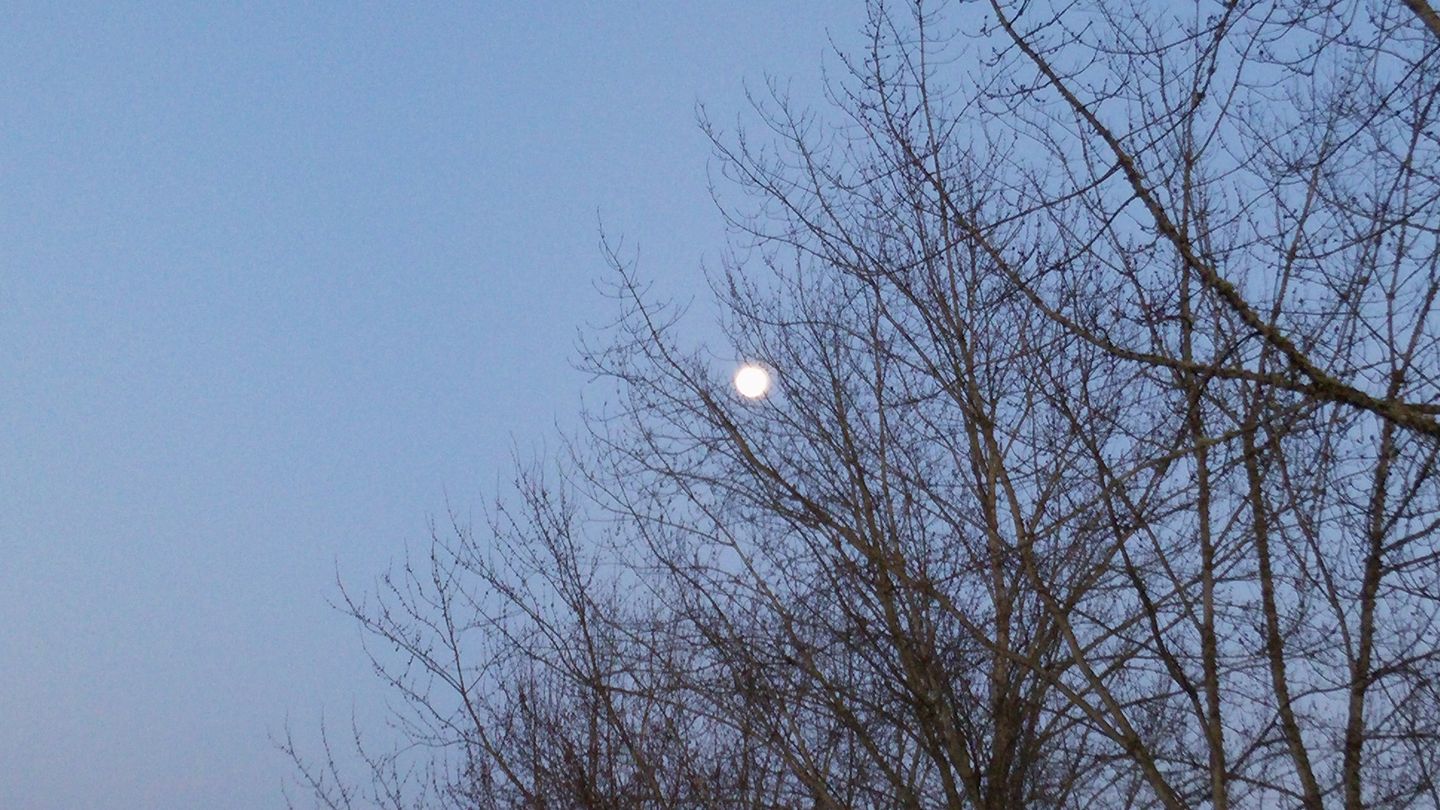 last creswell moon.jpg