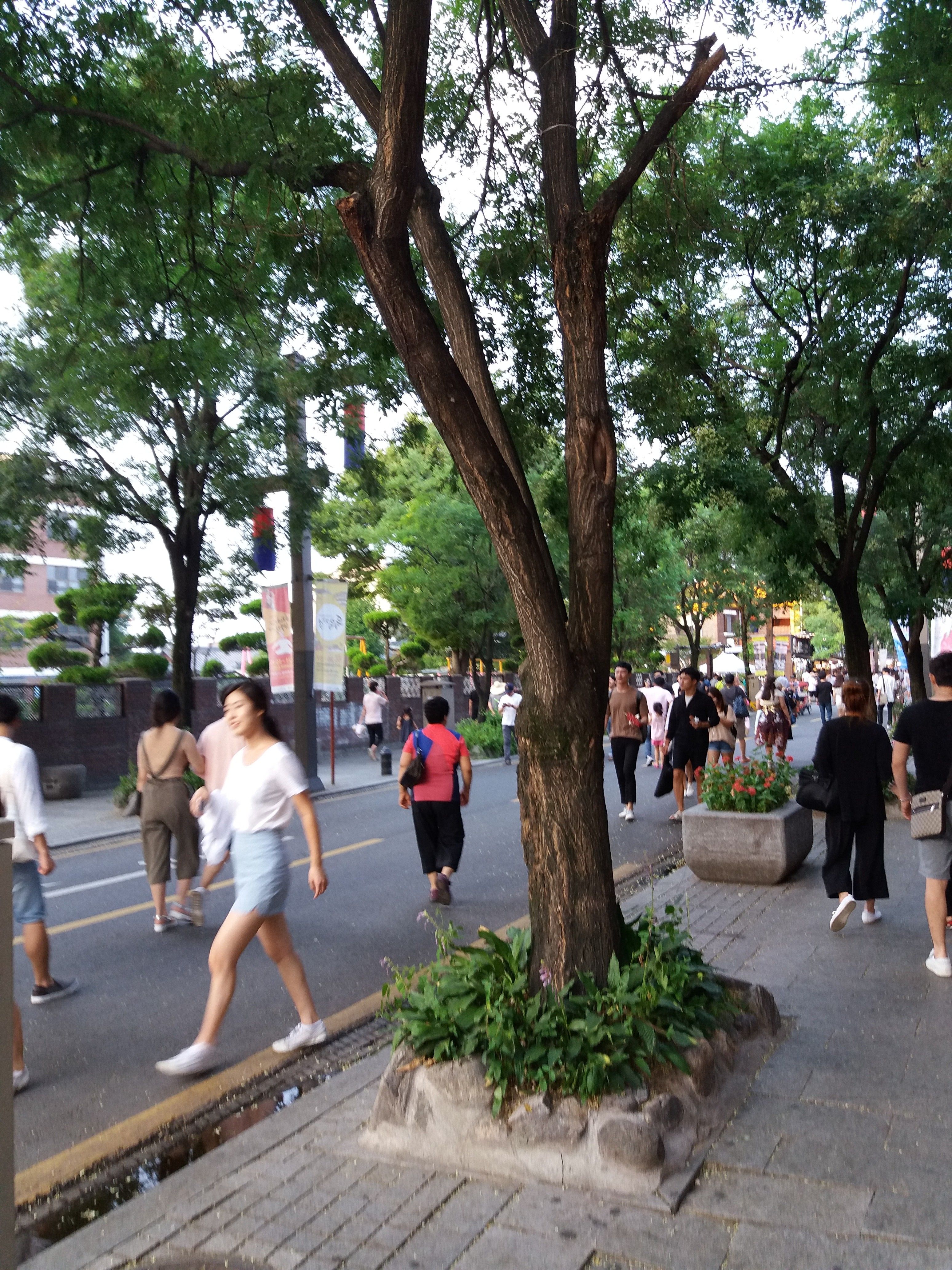 20160730_185206.jpg