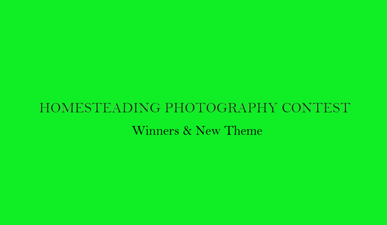 Homesteading Photography Contest - Winners.png
