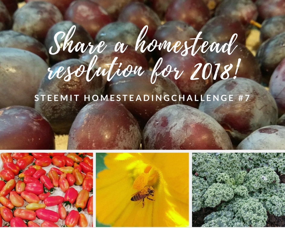 Share a homestead resolution for 2018! (1).jpg