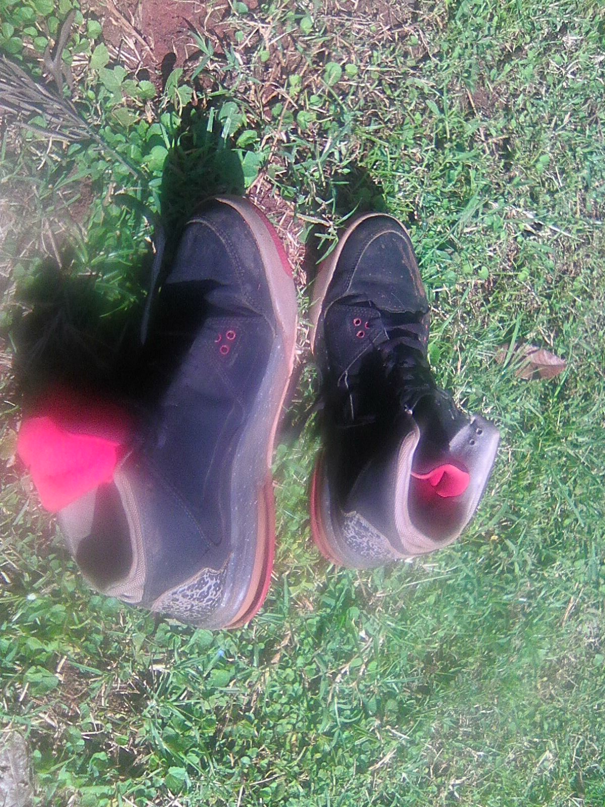 Photo0144.jpg