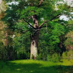 577px-Issak_Levitan_-_The_Oak.jpg