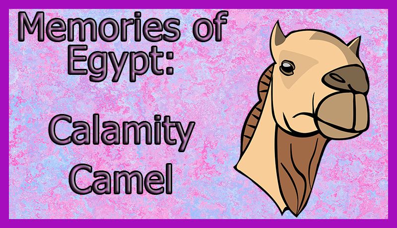 calamitycamel.jpg