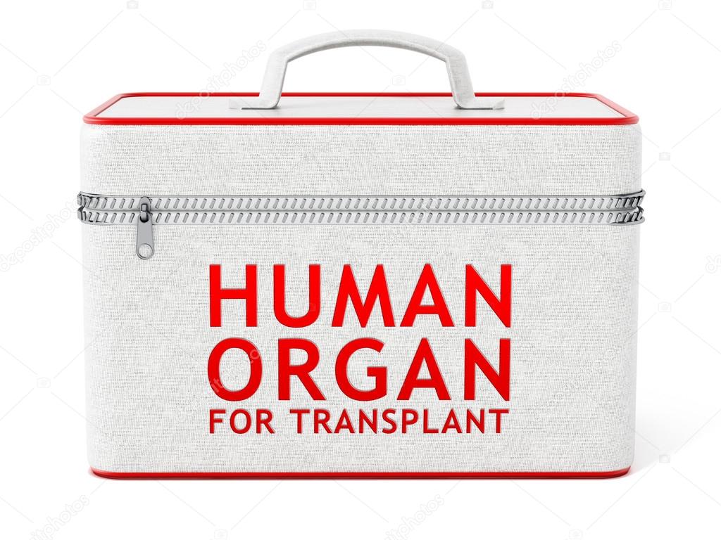 depositphotos_123570576-stock-photo-human-organ-for-transplant-box.jpg