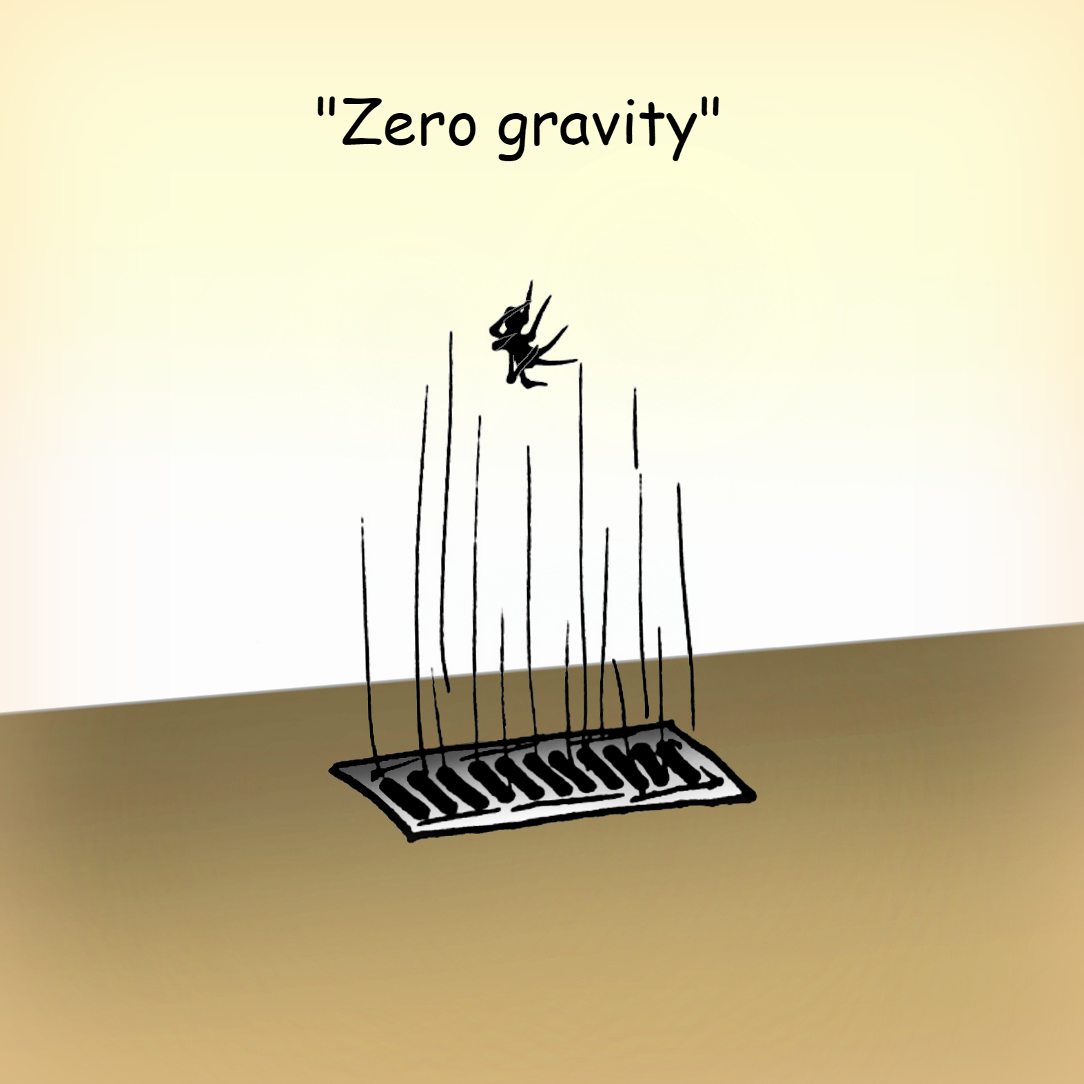 zero gravity final.jpg