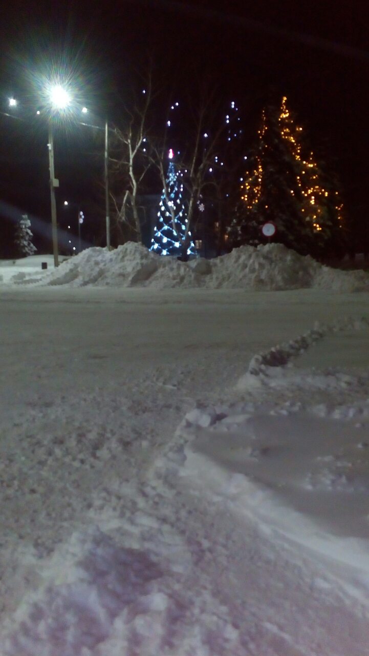 погуляли возле городской елки.jpg