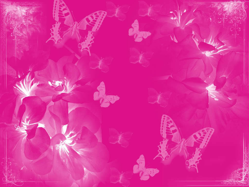 Pink Colour Images 2 Steemit Qbksmnq Jpg