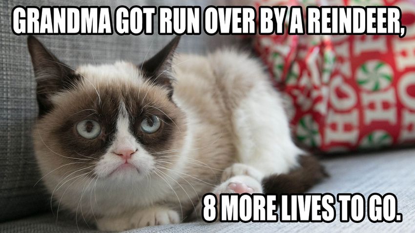 http---mashable.com-wp-content-gallery-grumpy-cat-christmas-Grumpy-Cat.jpg