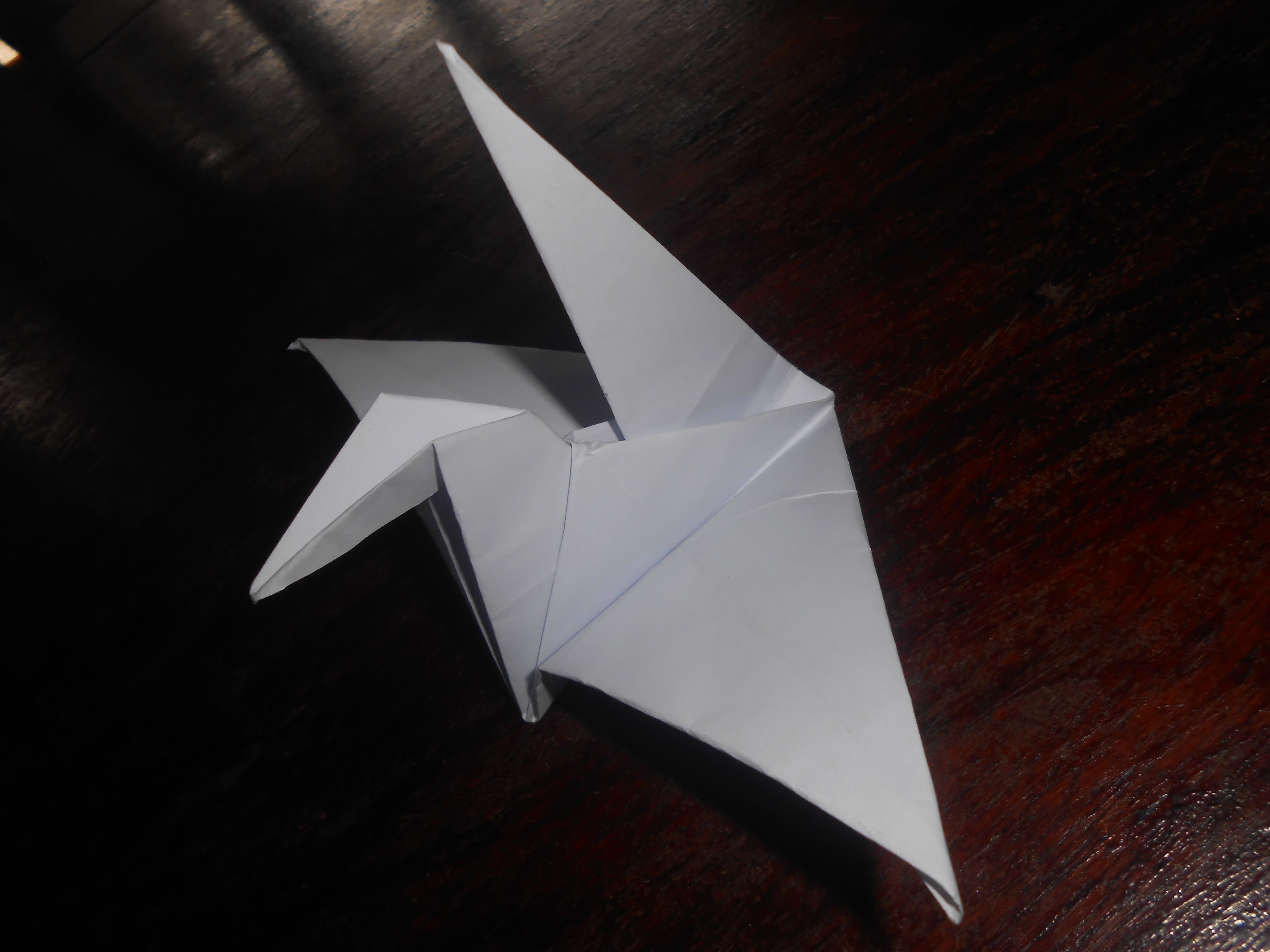 DSCN5857.JPG