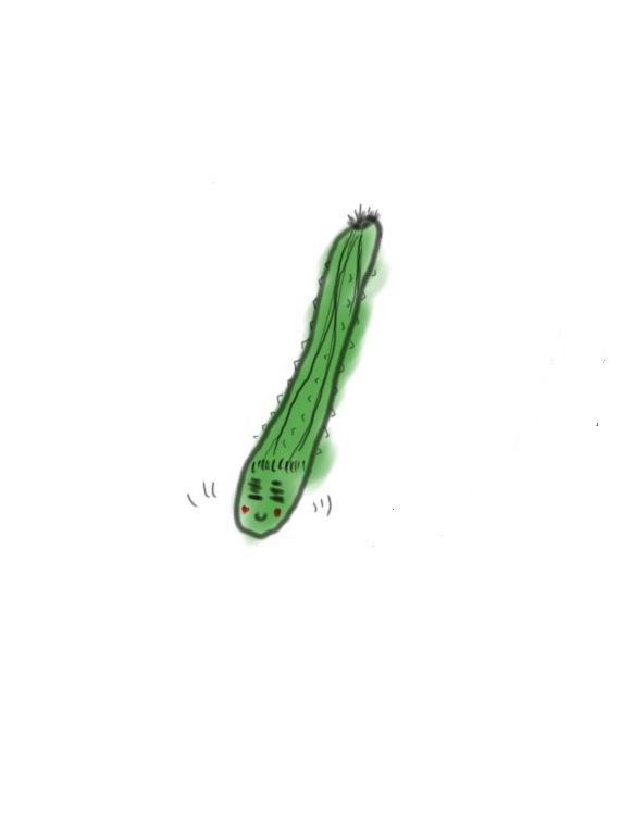 cucumber-13.jpg