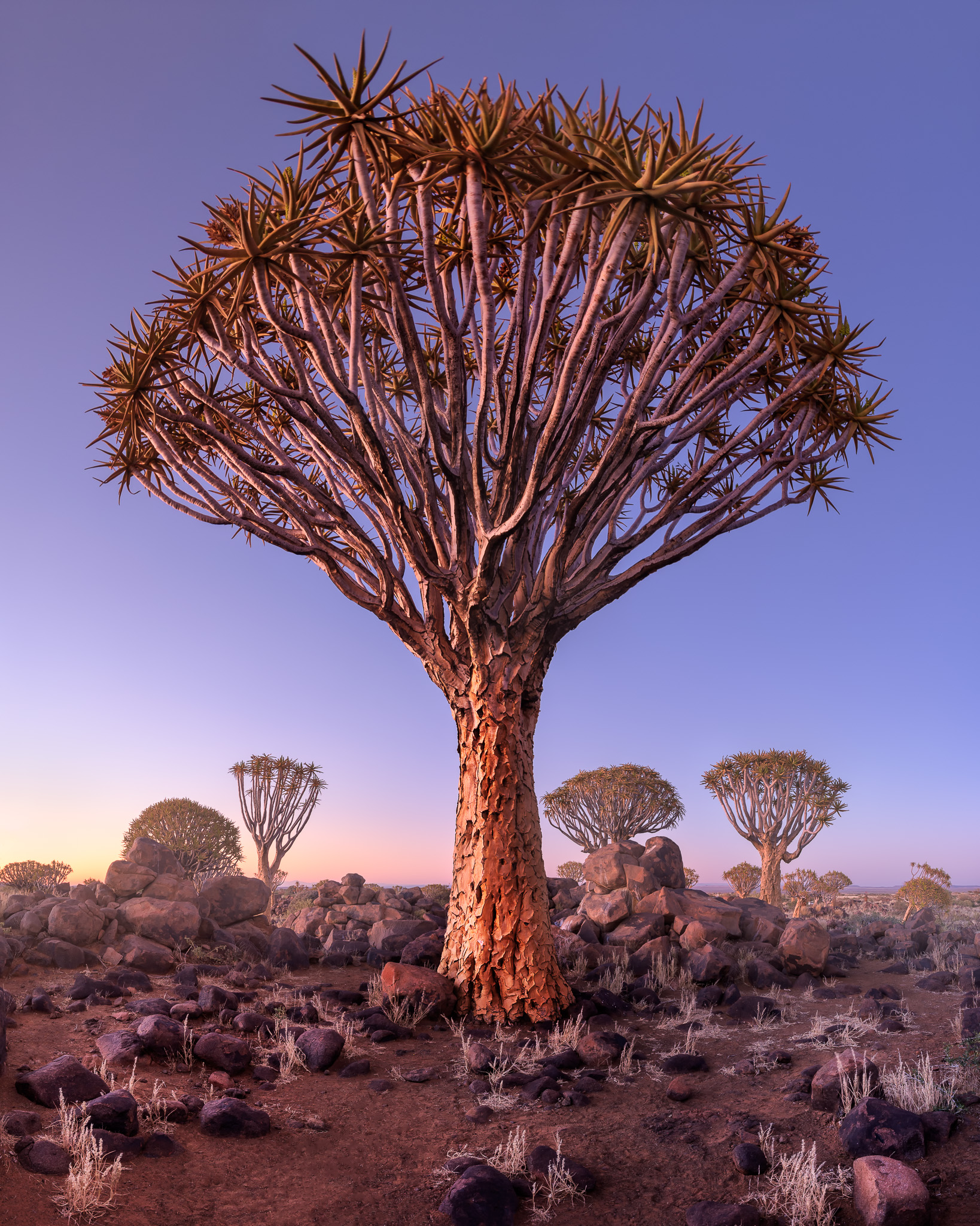 Namibia-2.jpg