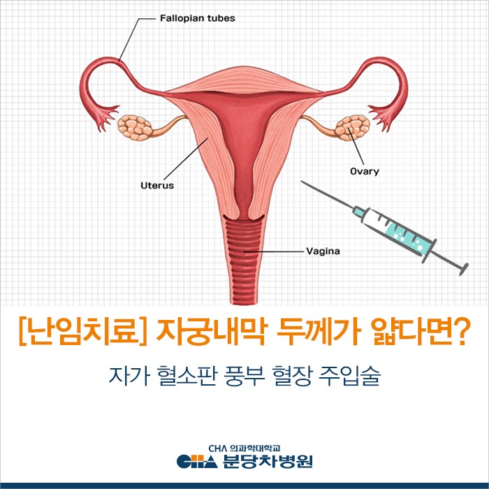 자궁내막_두께1.jpg