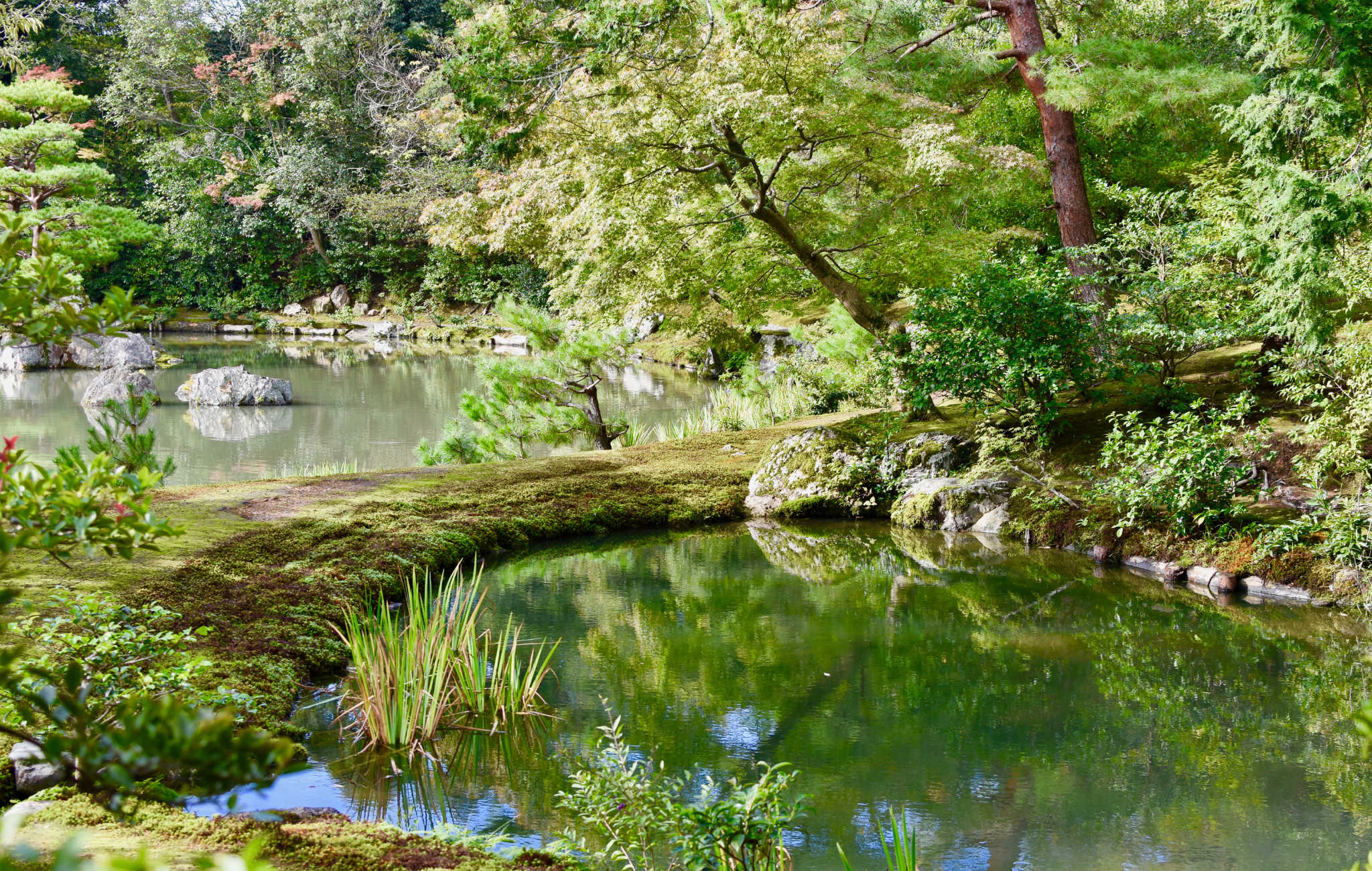 kinkaku-ji-jardin-5.jpg