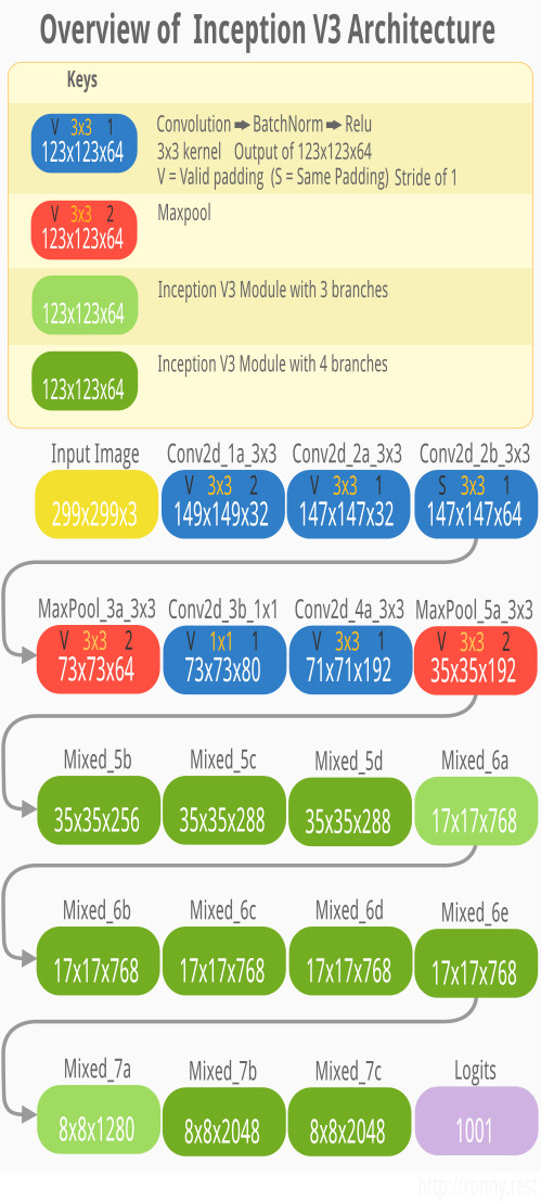 inception_v3_architecture_overview.jpg