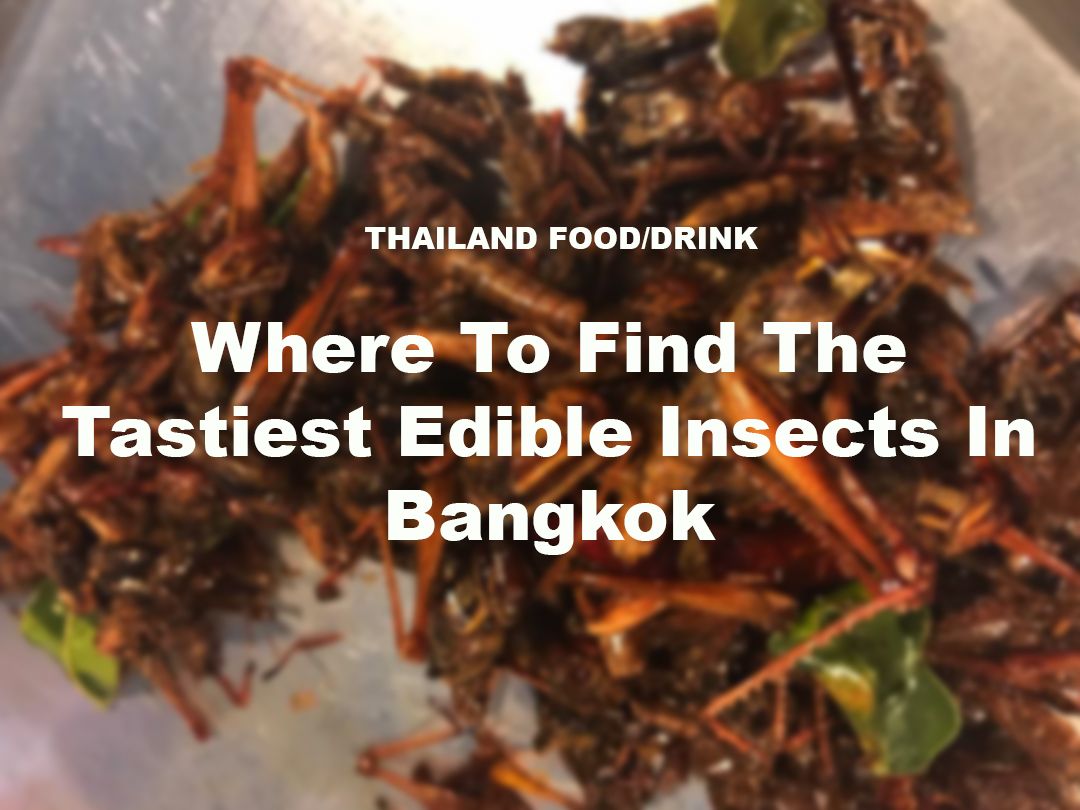 thaifood 1.jpg