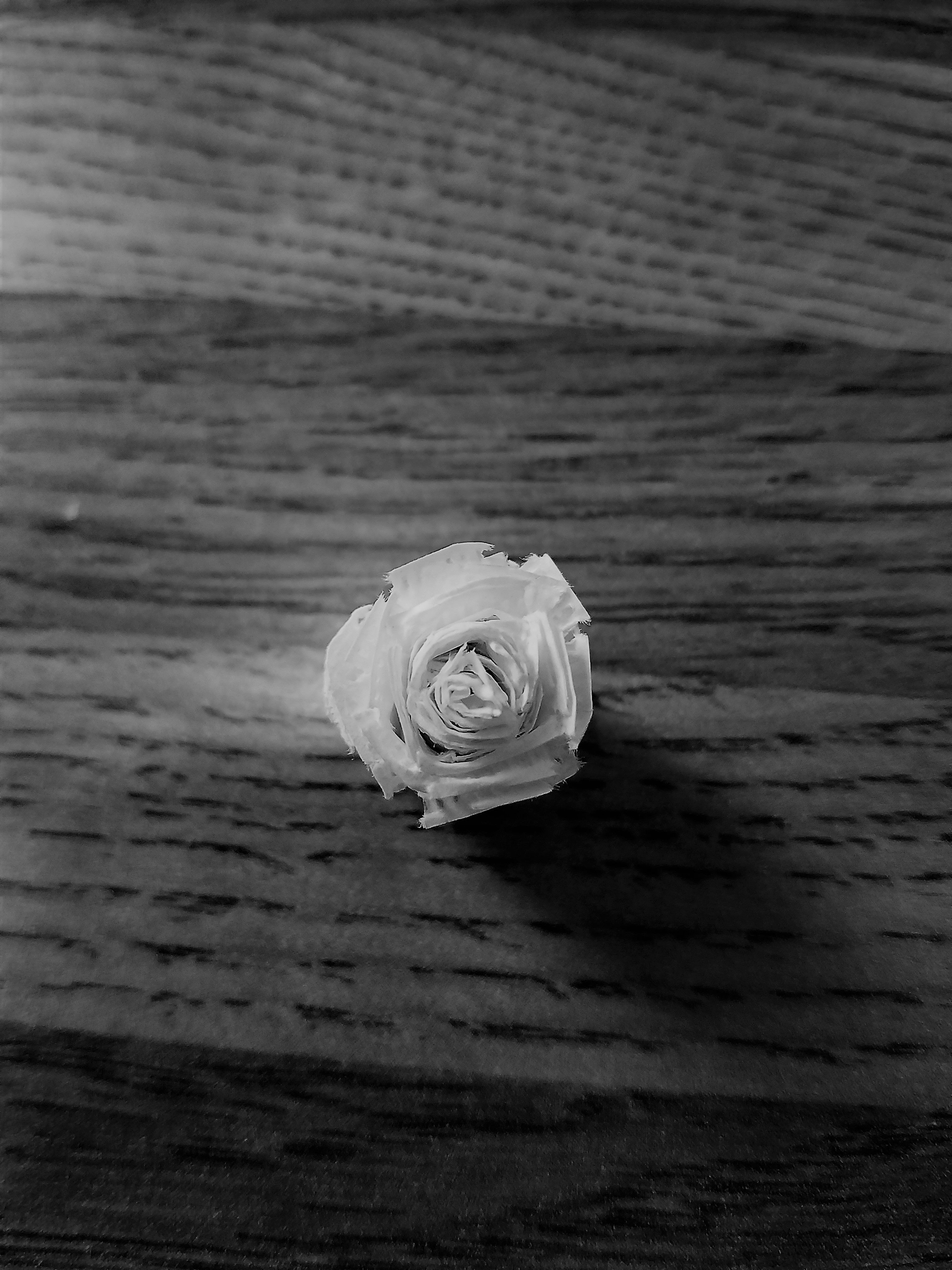 paper rose.jpg