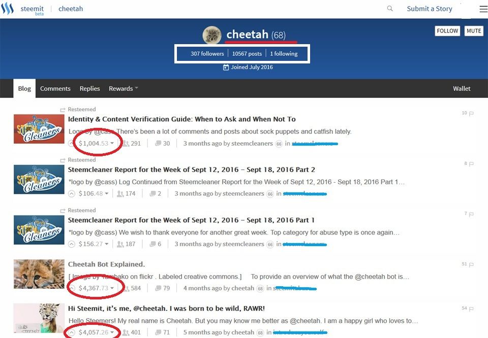 steemit-cheetah-scam-bot-blogs.jpg